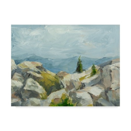 Ethan Harper 'Impasto Mountainside Iii' Canvas Art,18x24